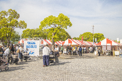 ぴあ株式会社の特典画像