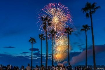 ヤシの木越しにみる花火