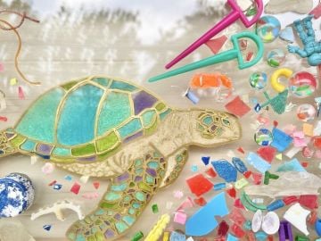 江の島 ビーチクリーン