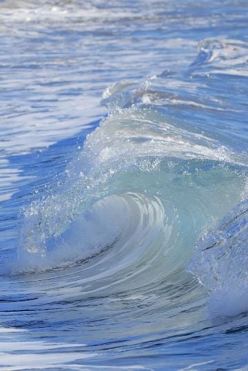 綺麗な海を守りたい